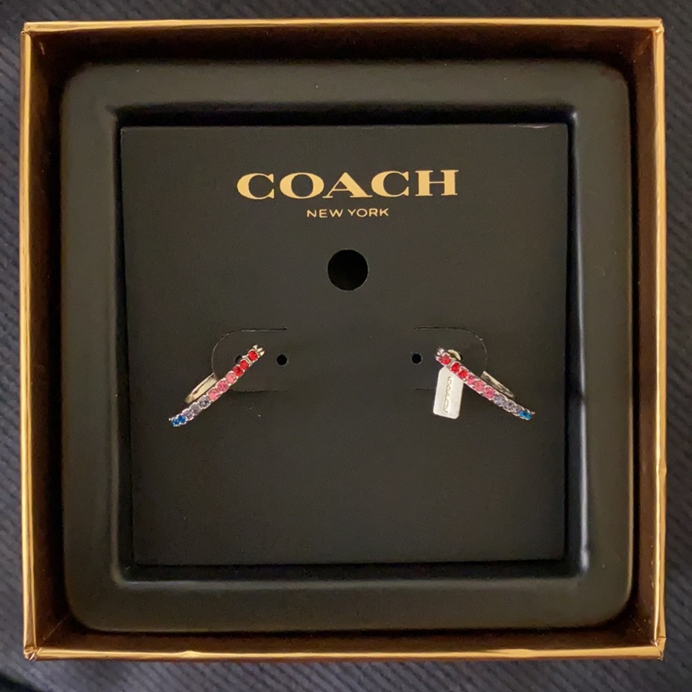 HUGGIE EARRINGS (COACH F67479) MULTI/SILVER